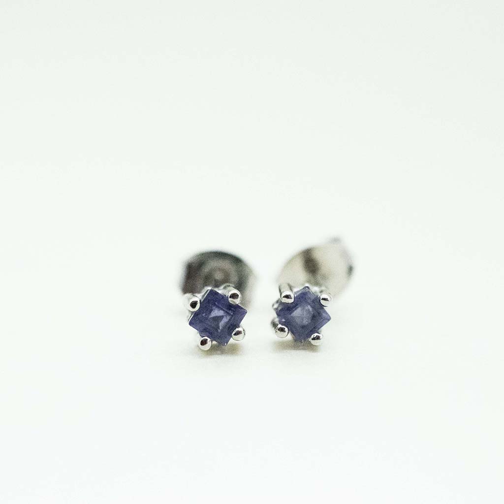 Aretes iolita